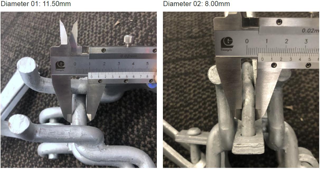 Holland Double Couler Show 03 