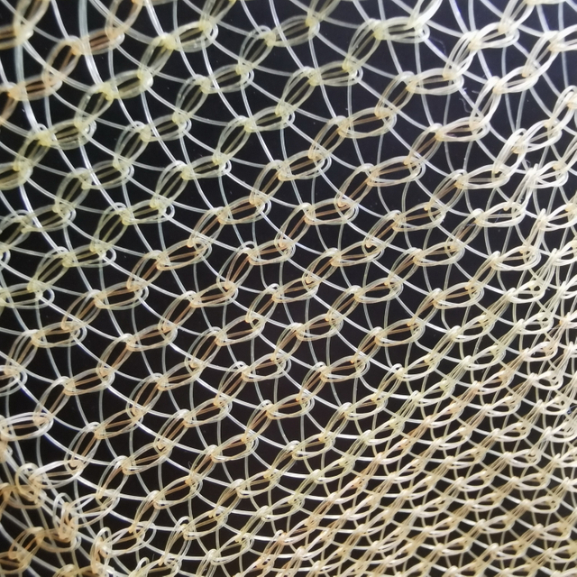 Net di sicurezza delle impalcature di costruzione per la mesh dell'edificio