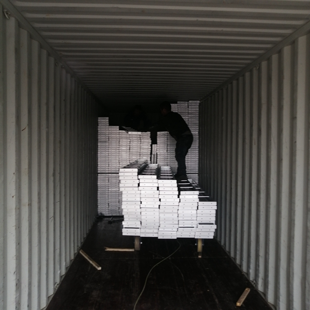 Schede a passeggiate con impalcature in acciaio zincato per BS1139