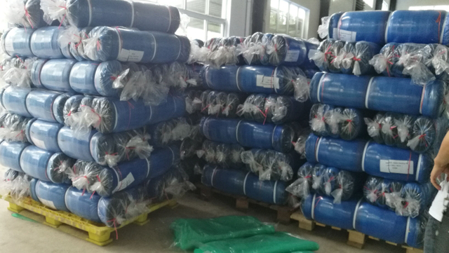 Factory BS NET di sicurezza delle impalcature di alta qualità