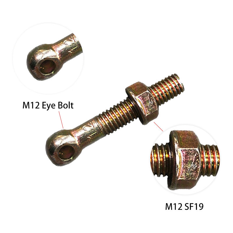 M12 Eye Bolt e M12 SF19
