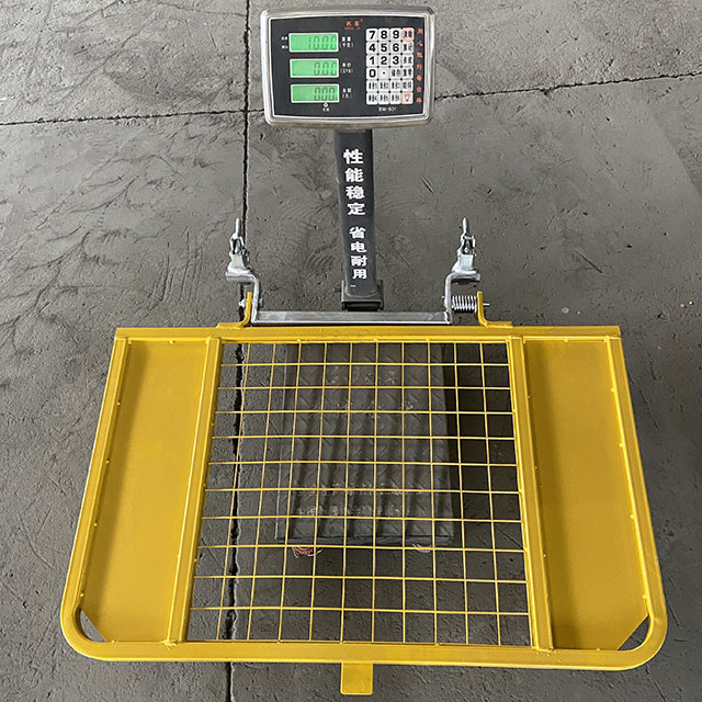 test del cancello di accesso con scala 